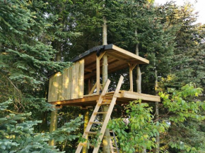 Tree Top Shelter